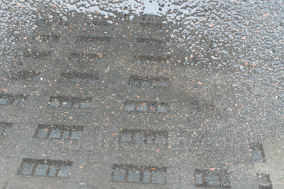 P1090411a.jpg
