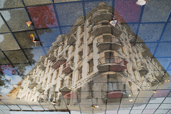 DSC_0052.jpg