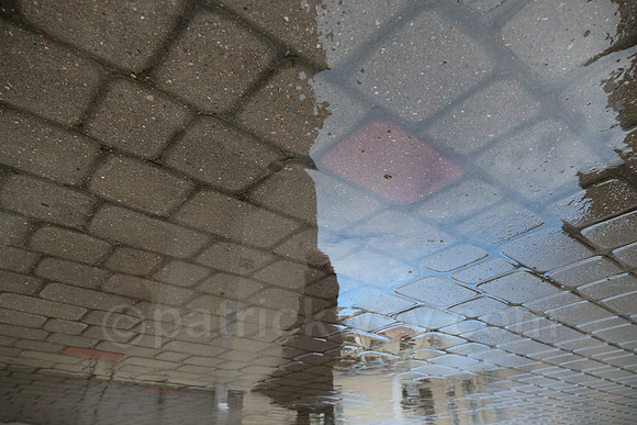 P1090438a.jpg