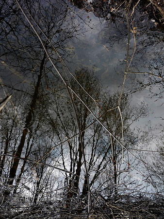 patrick wey puddle