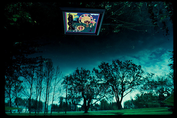 patrick wey puddle