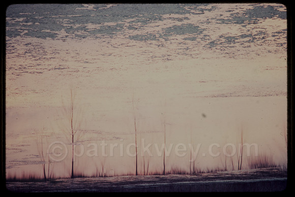 patrick wey puddle
