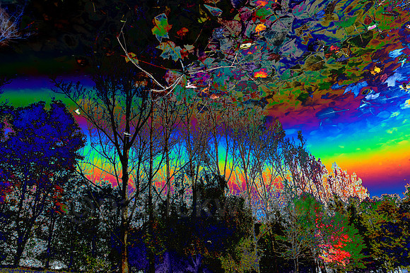 patrick wey puddle