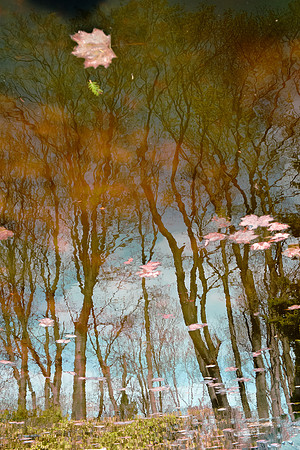 patrick wey puddle