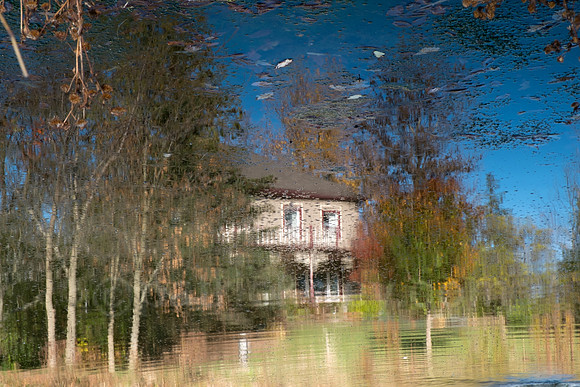 patrick wey puddle
