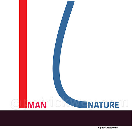 Straight vs curved