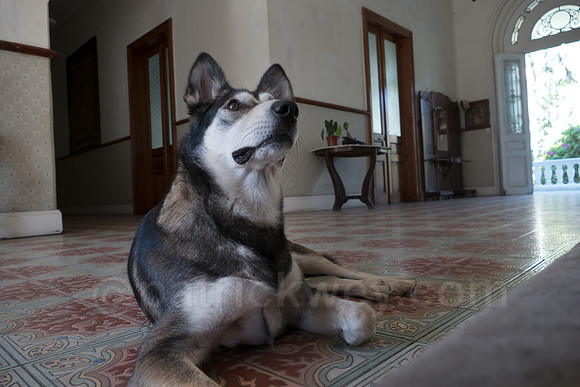 P1110758-Edit.jpg