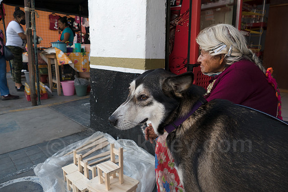 P1110788-Edit.jpg