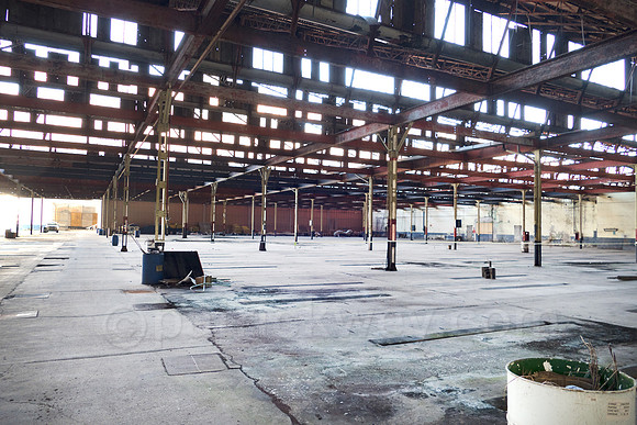 P1110861-Edit.jpg