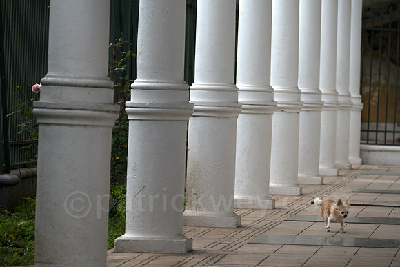P1110944-Edit.jpg