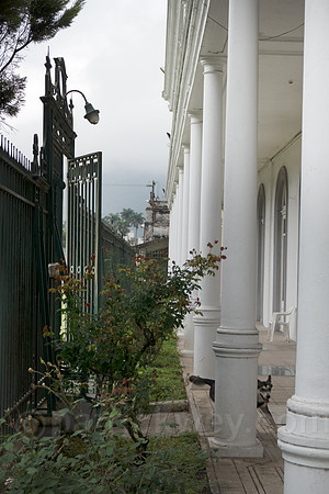 P1110947-Edit.jpg
