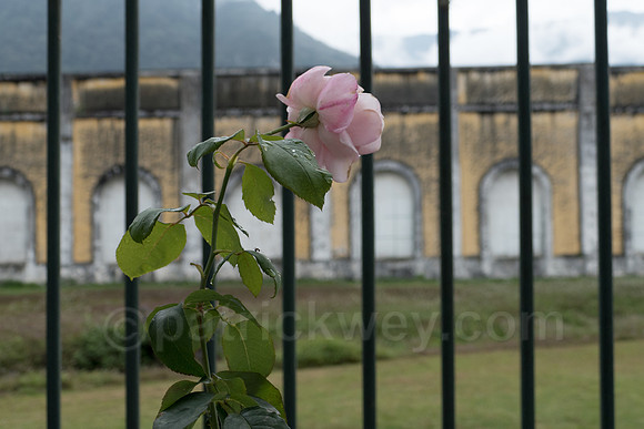 P1110950-Edit.jpg