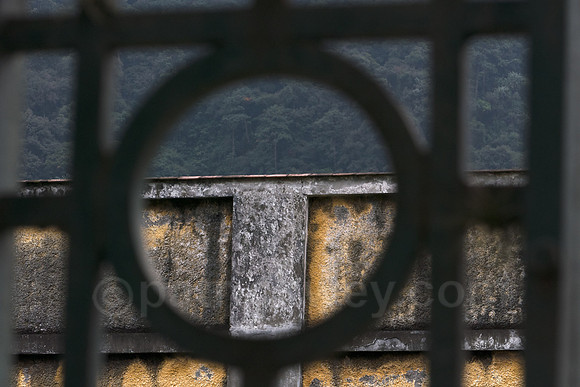 P1110973-Edit.jpg