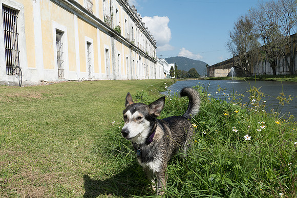 P1120223.jpg