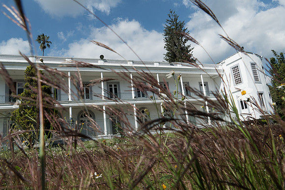 P1120225.jpg