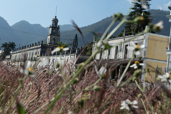 P1120233.jpg