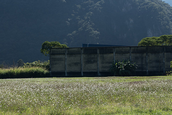 P1120245.jpg