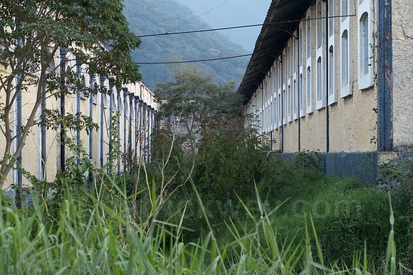 P1120269.jpg