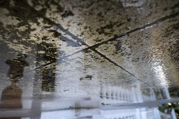 P1120367-Edit.jpg