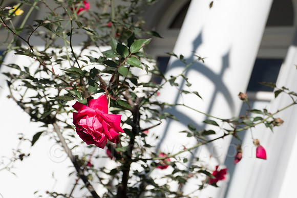 P1120507-Edit.jpg