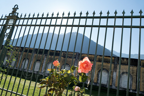 P1120511-Edit.jpg