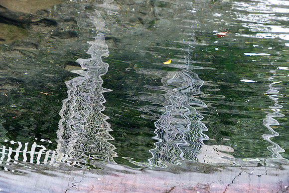 P1120524-Edit.jpg