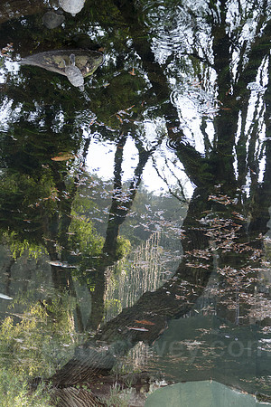 P1120541-Edit.jpg