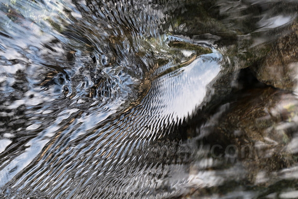 P1120550-Edit.jpg