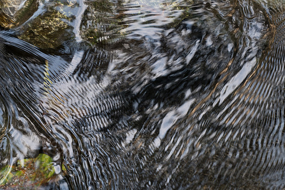 P1120553-Edit.jpg