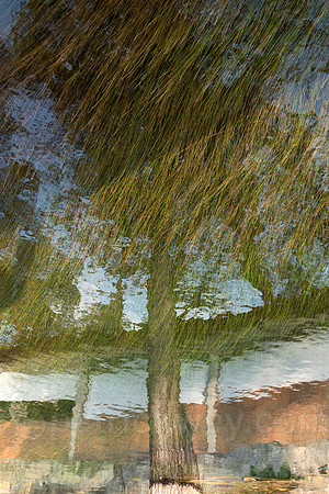 P1120568-Edit.jpg