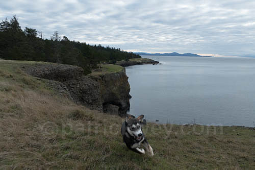 P1110094-Edit.jpg