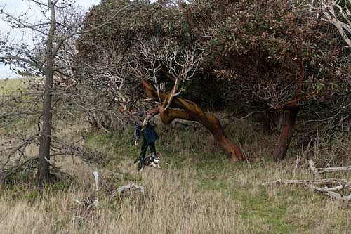 P1110142-Edit.jpg