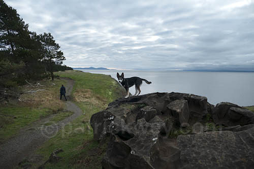 P1110104-Edit.jpg