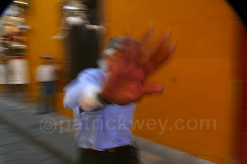P1260884-2.jpg