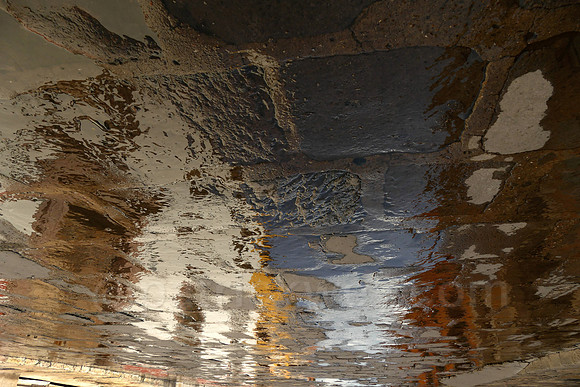 P1180664.jpg