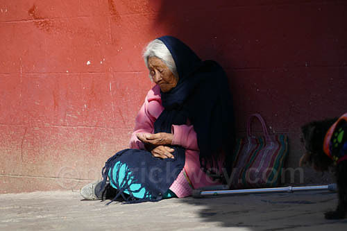 P1250708-2.jpg