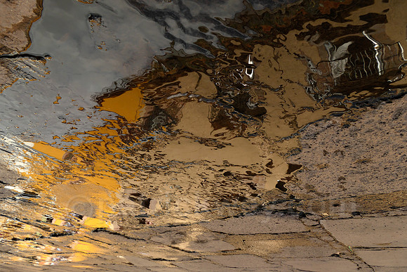 P1180759.jpg