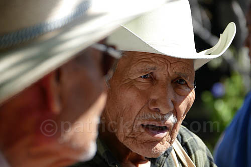 P1250414-2.jpg