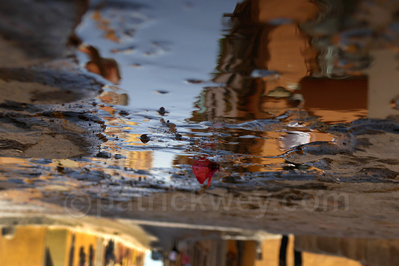 P1150049.jpg