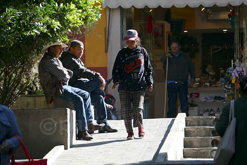 P1250760-2.jpg